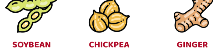 Hero ingredients: Soybean · Chickpea · Ginger